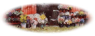 American dream�U-a