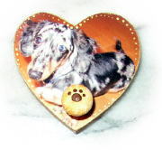 �փS���z���_�[�Q