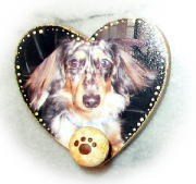 �փS���z���_�[�P