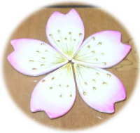 ���̔��u��