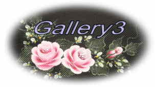 gallery3