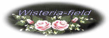 �E�C�X�^���A�@�t�B�[���h